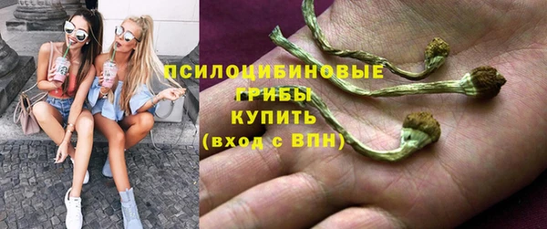 MDMA Дмитриев