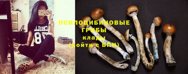 MDMA Дмитриев