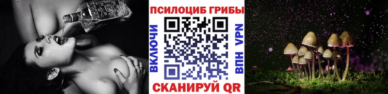 darknet состав  Донской  Псилоцибиновые грибы прущие грибы 